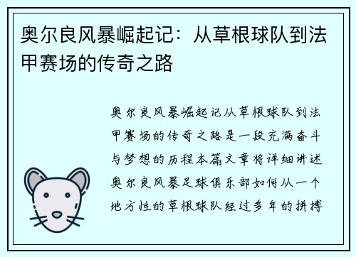 奥尔良风暴崛起记：从草根球队到法甲赛场的传奇之路