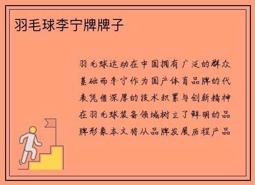 羽毛球李宁牌牌子